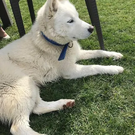 Banu 호텔