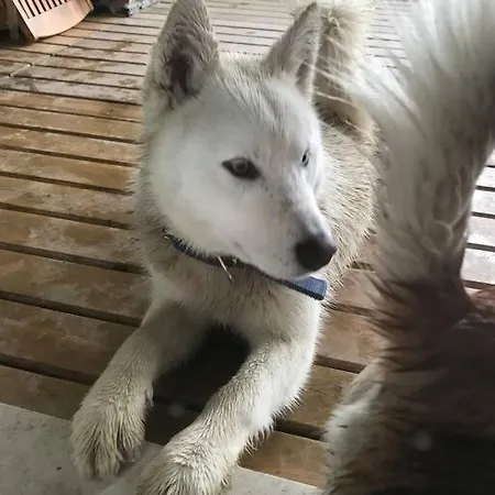 Banu 호텔